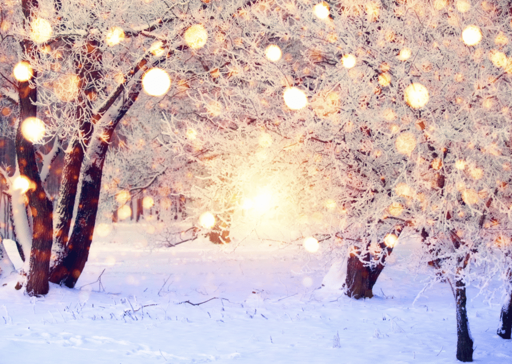 A snowy Christmas scene with trees and lights