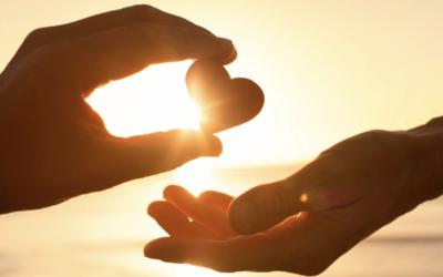 Why choose the National Police Healthcare Scheme? Making the smart choice